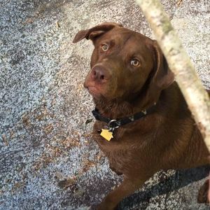 Meet your Posher, Luke